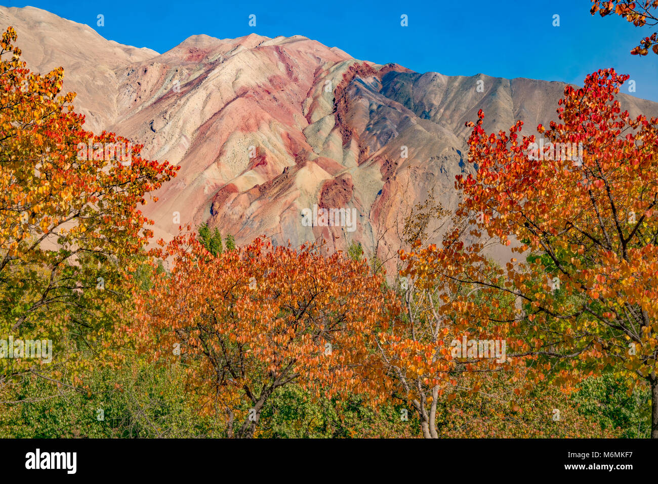 Monts Gissar en automne, au Tadjikistan. L'Asie centrale Banque D'Images