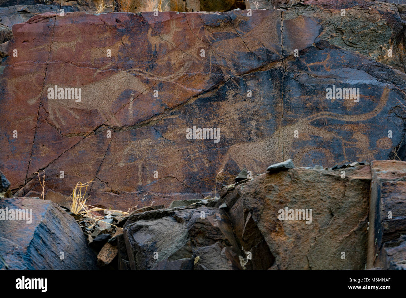 Pétroglyphes à Tambaly Achaeological Paysage, Kazakhstan, Tambaly Chu-Lii Gorges, montagnes, à l'âge du Bronze l'art rupestre, Site du patrimoine mondial de l'UNESCO Banque D'Images