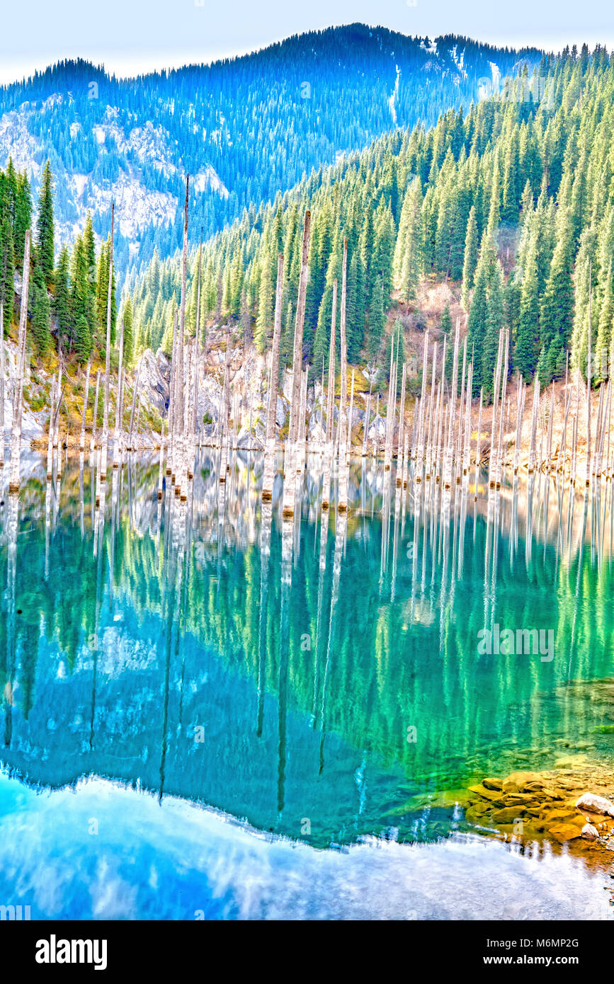 La forêt en contrebas, le lac Kaindy, au Kazakhstan, en Asie centrale, Bleu Le lac glaciaire formée par 1911 tremblement de terre. Le parc national du lac Kaindy Banque D'Images