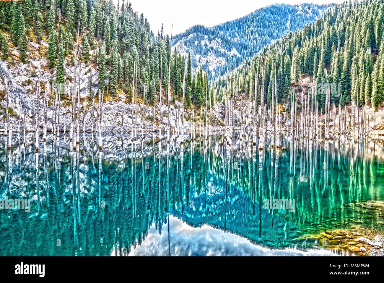 La forêt en contrebas, le lac Kaindy, au Kazakhstan, en Asie centrale, Bleu Le lac glaciaire formée par 1911 tremblement de terre. Le parc national du lac Kaindy Banque D'Images