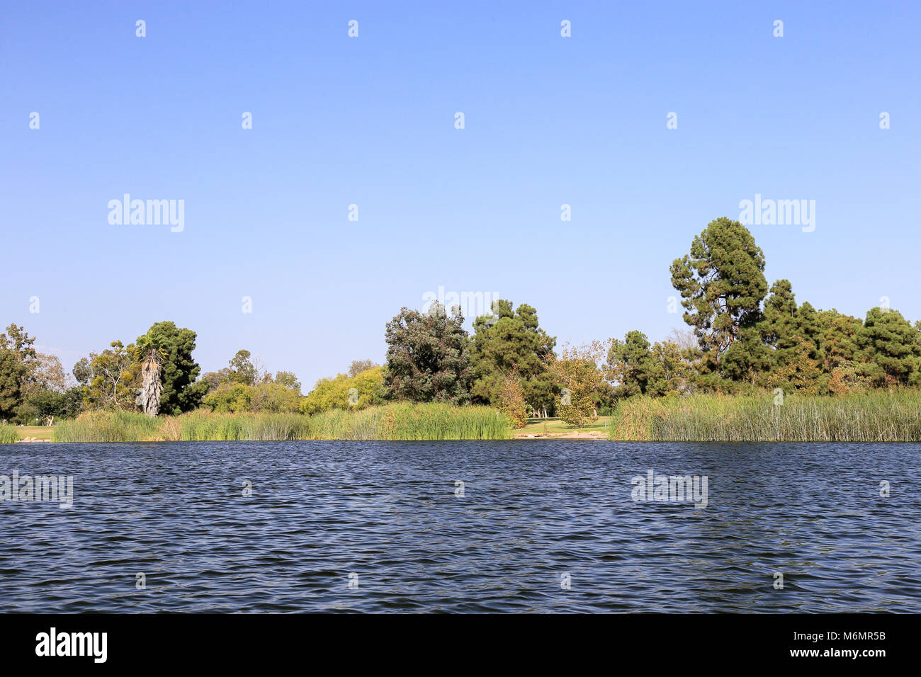 Après-midi paisible à El Dorado East Regional Park, Long Beach, Californie Banque D'Images