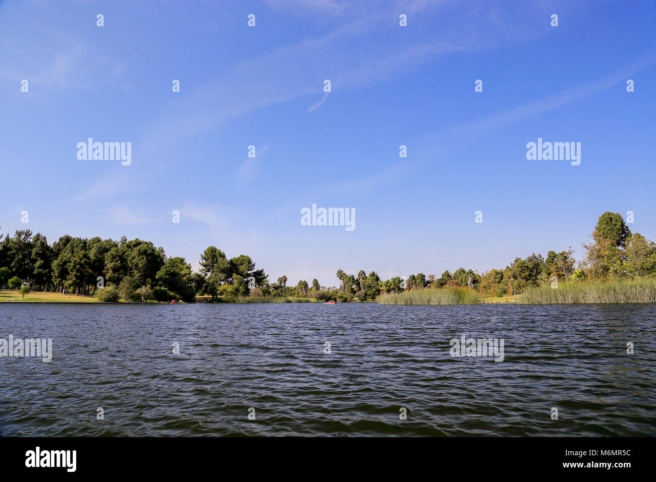 Après-midi paisible à El Dorado East Regional Park, Long Beach, Californie Banque D'Images