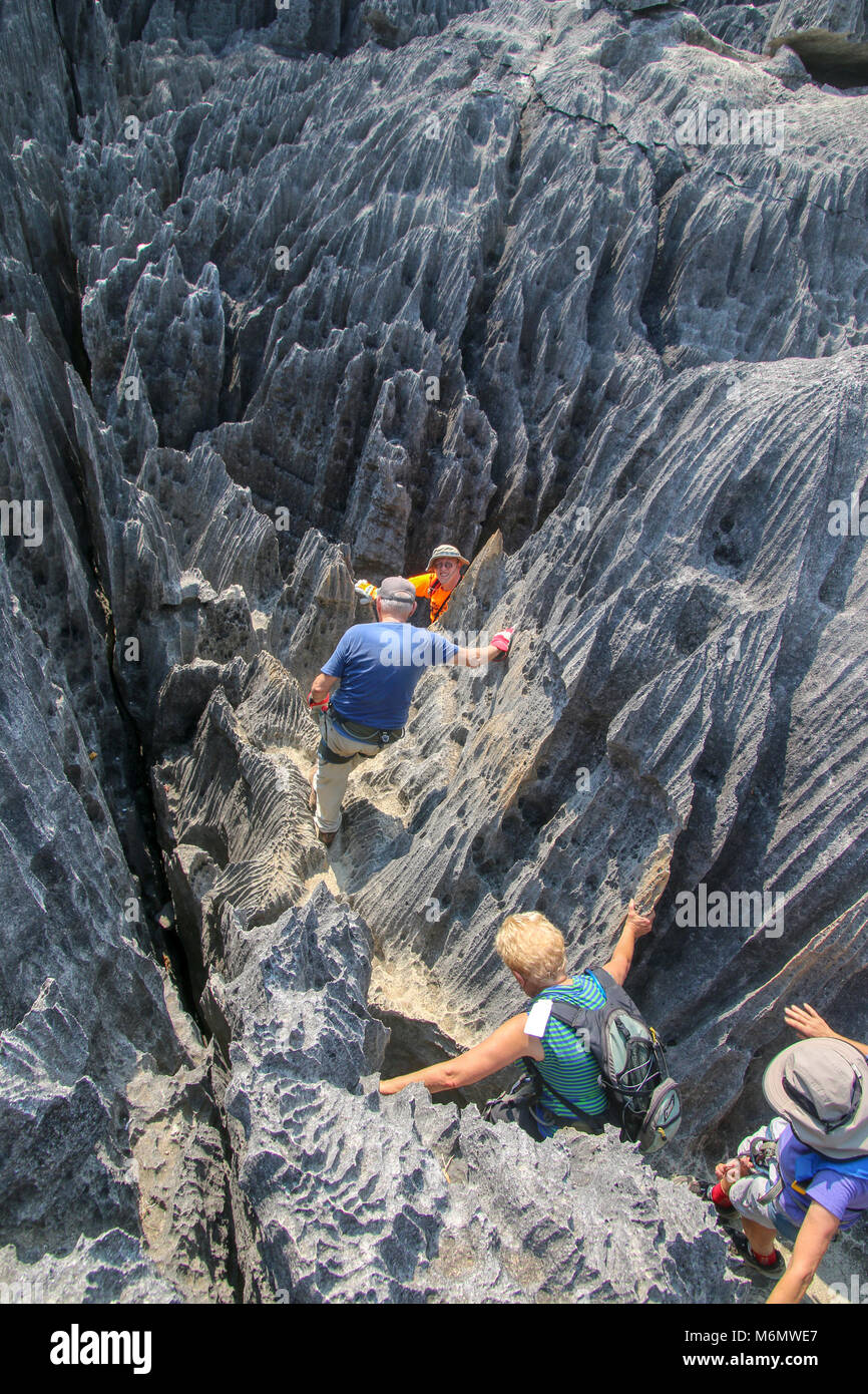 Madagascar, les Tsingy de Bemaraha - calcaire karstique érodé Banque D'Images