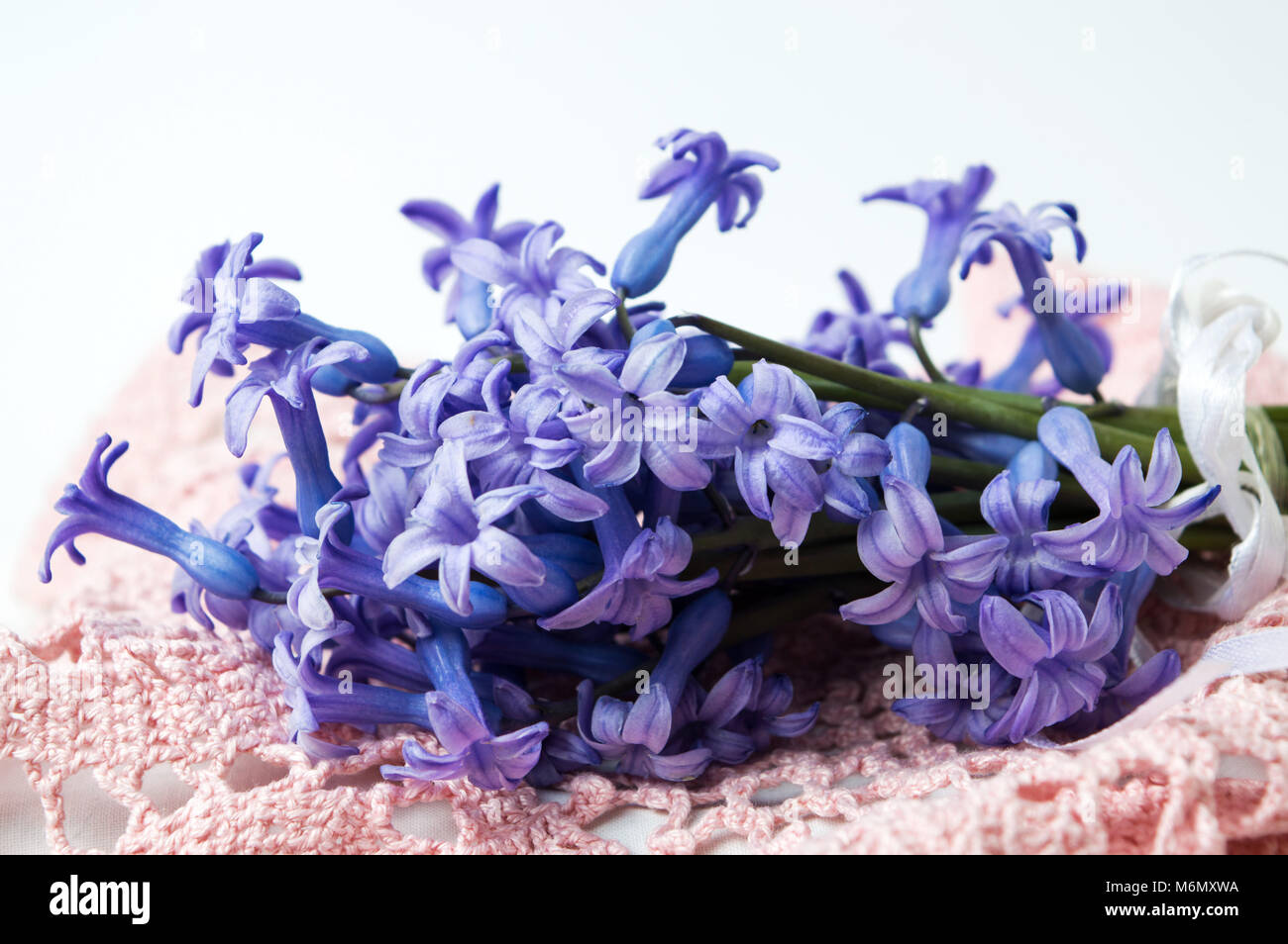 Jacinthe pourpre fleurs bouquet sur capot table en bonneterie Banque D'Images