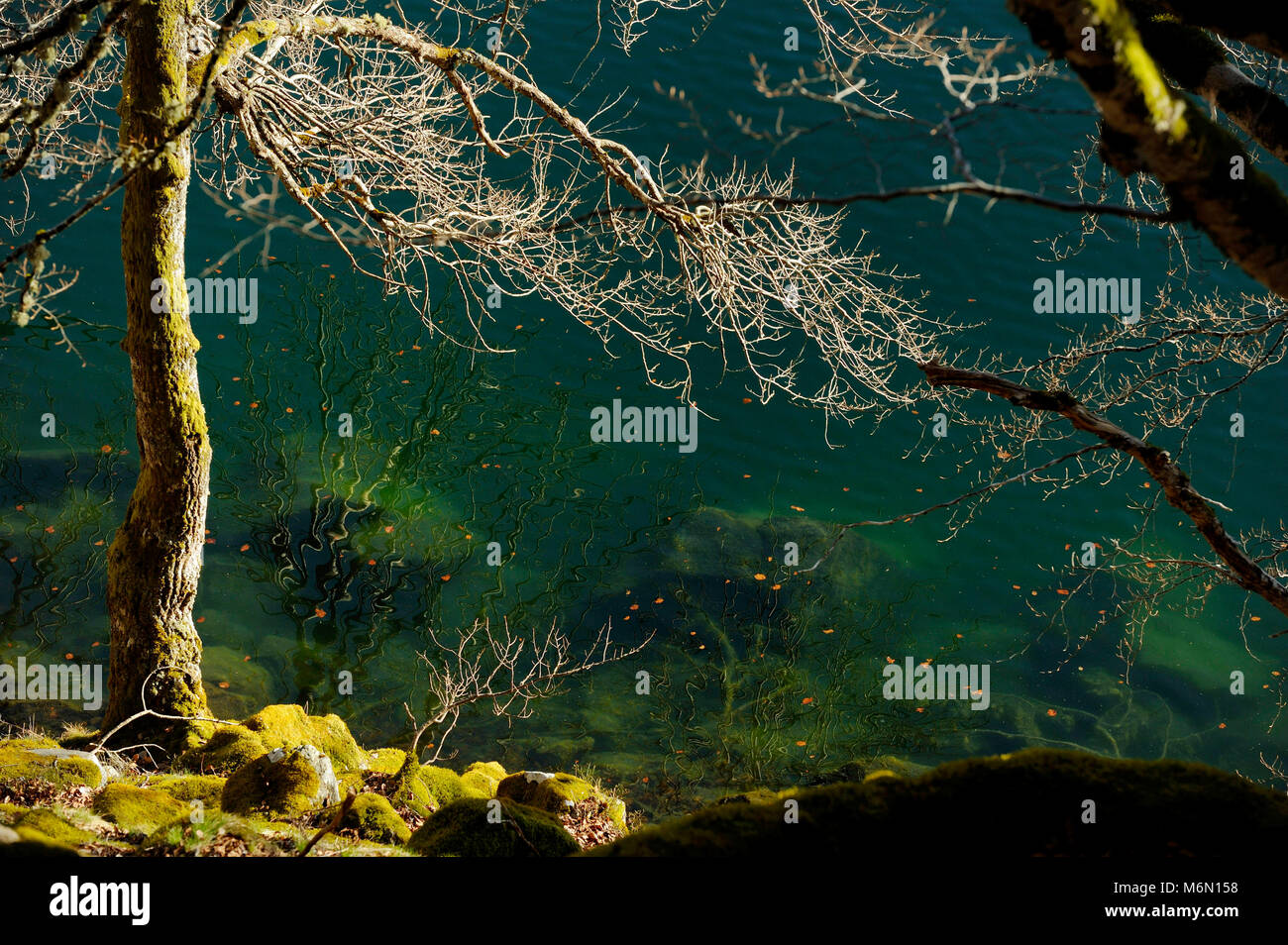 Forêt de Paimpont ou forêt de Brocéliande : la Fairy Mirror (ÒMiroir FeesÓ aux) Banque D'Images