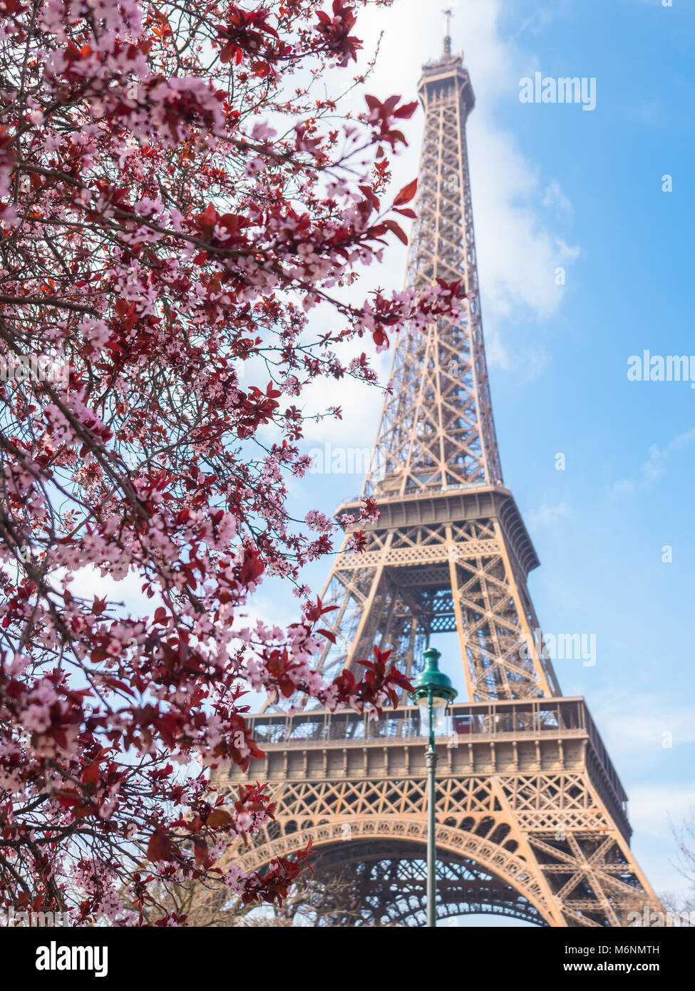 Beau printemps à Paris Banque D'Images