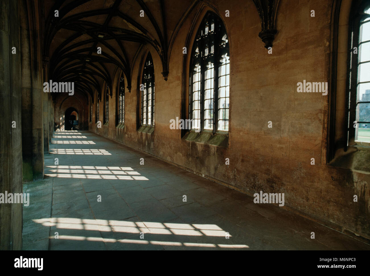 St John's College de Cambridge - nouvelle cour du Cloître - Cambridge - Angleterre - Royaume-Uni Banque D'Images