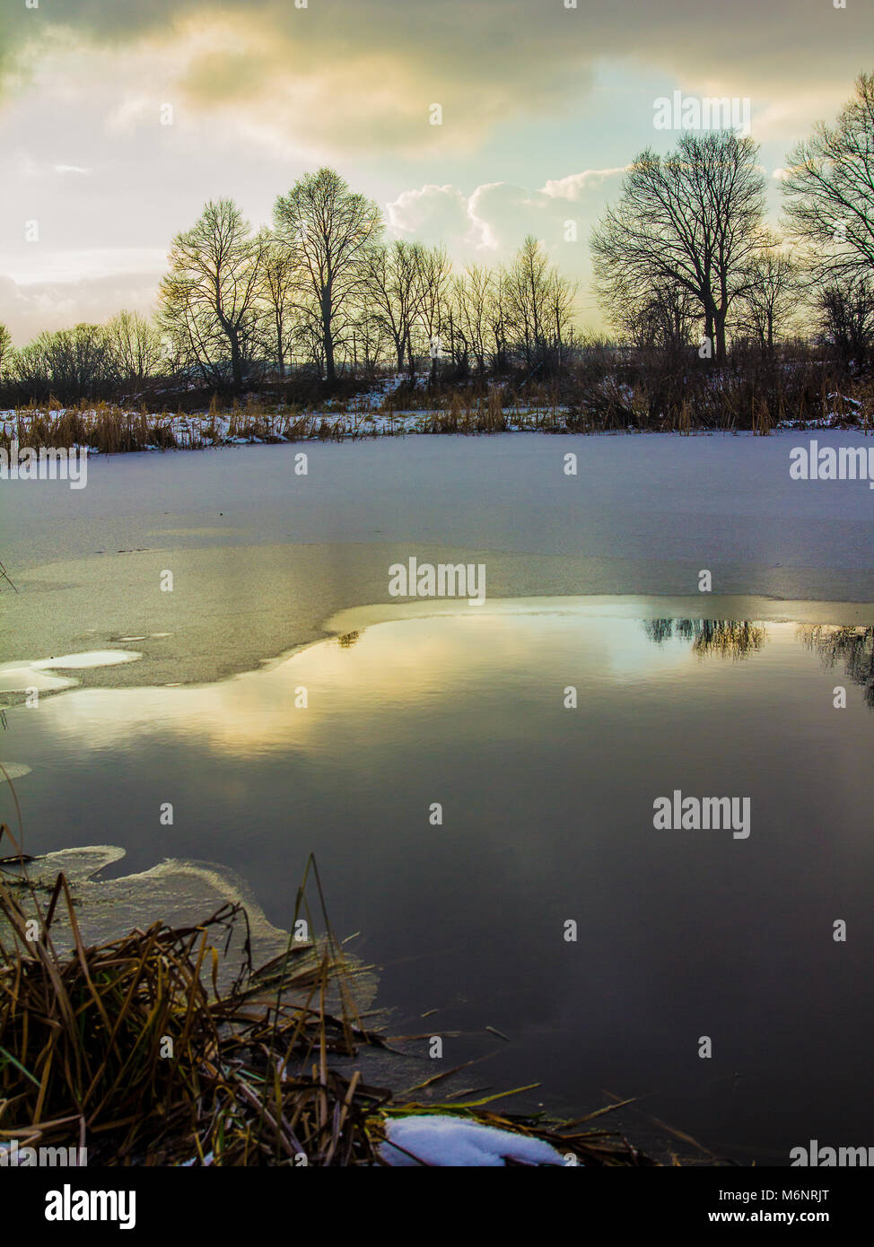 Rive d'un lac avec un gel de l'herbe côte couverte de neige fraîche avec des arbres très rares sur l'autre rive sous le ciel reflété dans le froid en douceur p Banque D'Images