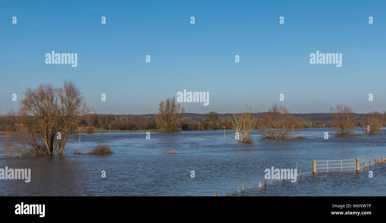 Les plaines de l'inondation à la rivière IJssel près de Dieren en Gueldre. Banque D'Images
