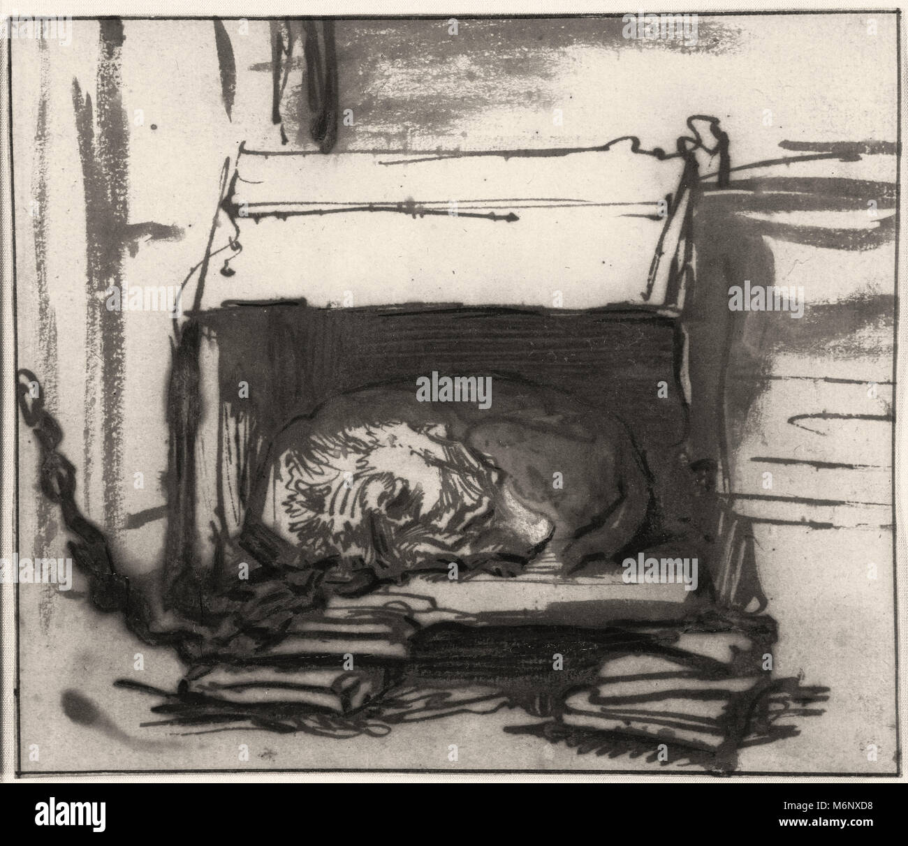 Rembrandt Harmenszoon van Rijn - Chien Couchage Banque D'Images