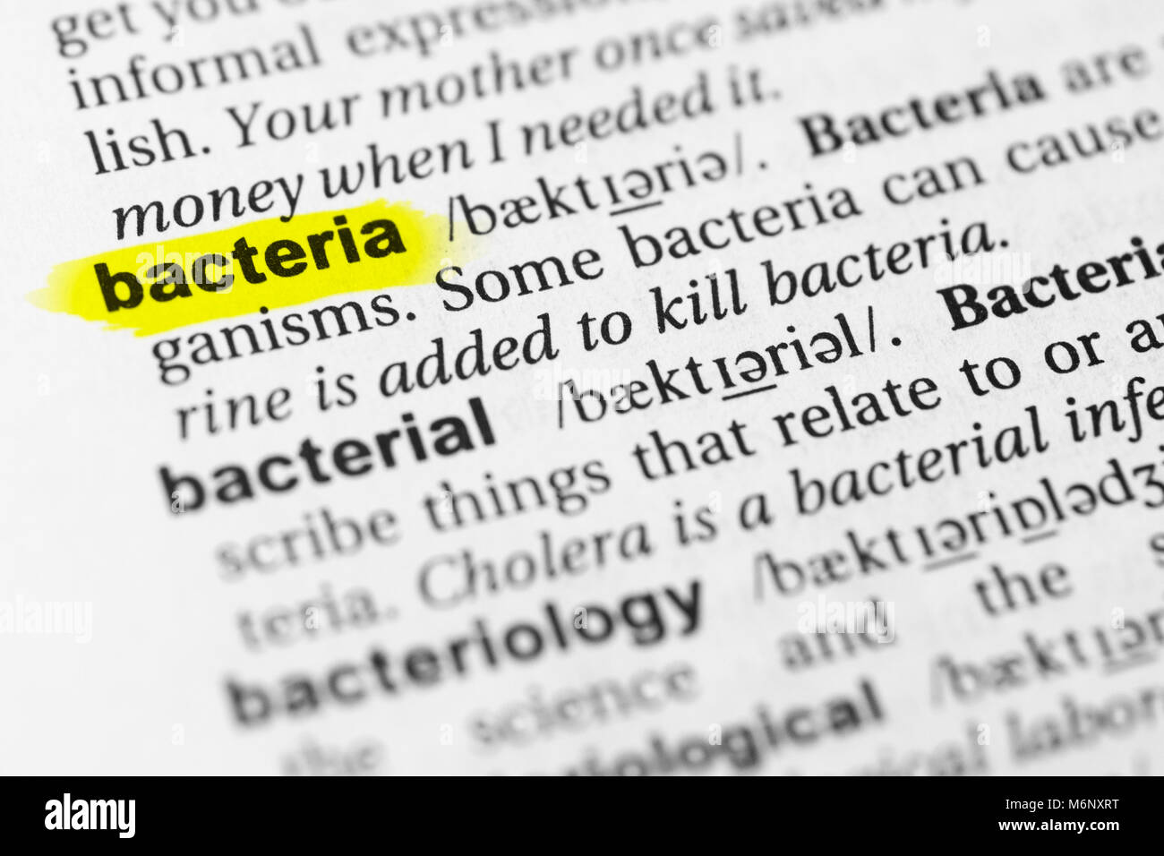 Terme anglais "mis en évidence des bactéries et sa définition dans le dictionnaire. Banque D'Images