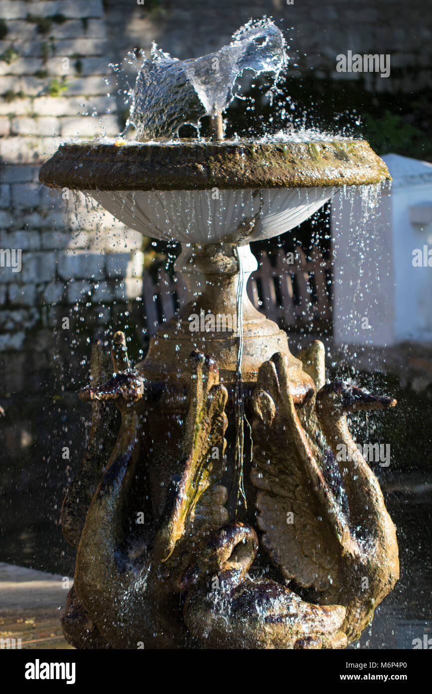 Fontaine avec des sculptures d'oies Banque D'Images