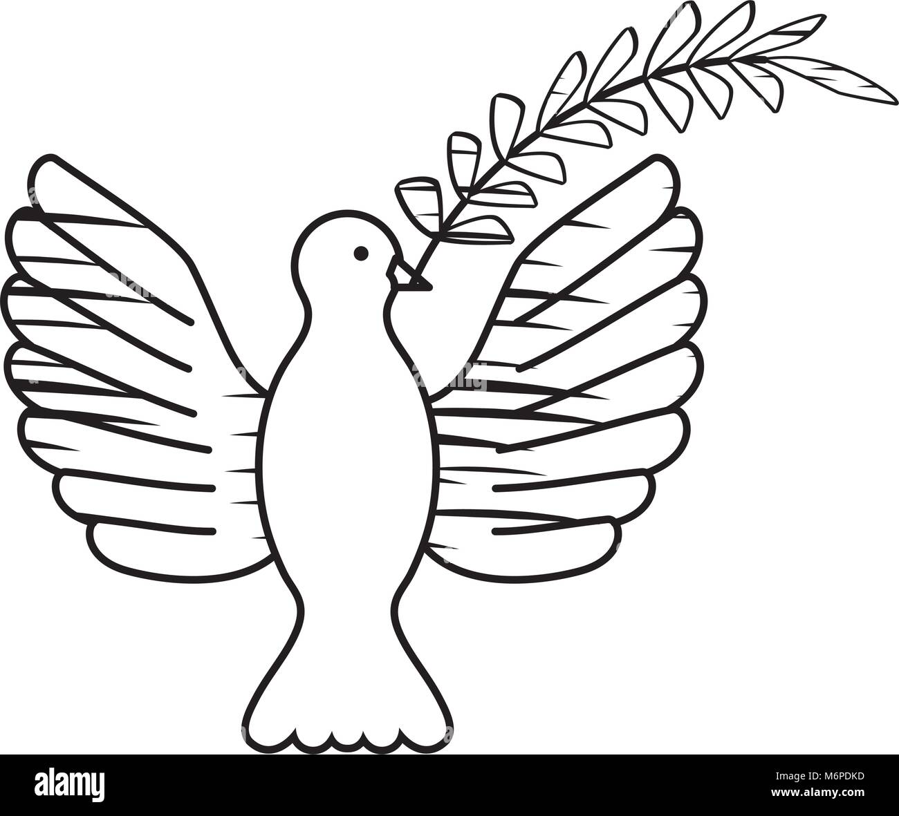 Dessin Rameau Colombe Banque d'images vectorielles - Alamy