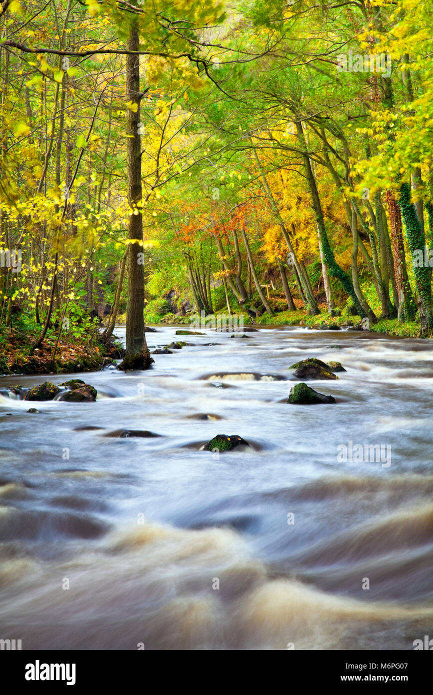 Rivière Esk en automne North York Moors national park North Yorkshire Banque D'Images