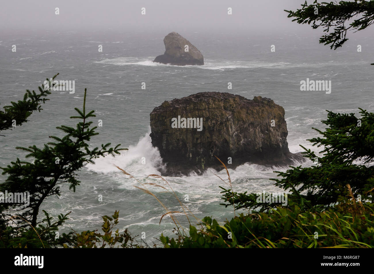 Au nord de la côte de l'Oregon. Pyramide et pilier Rock comme vu de la Cape Meares Lighthouse est une partie de la Cape Meares National Wildlife Refuge. Banque D'Images