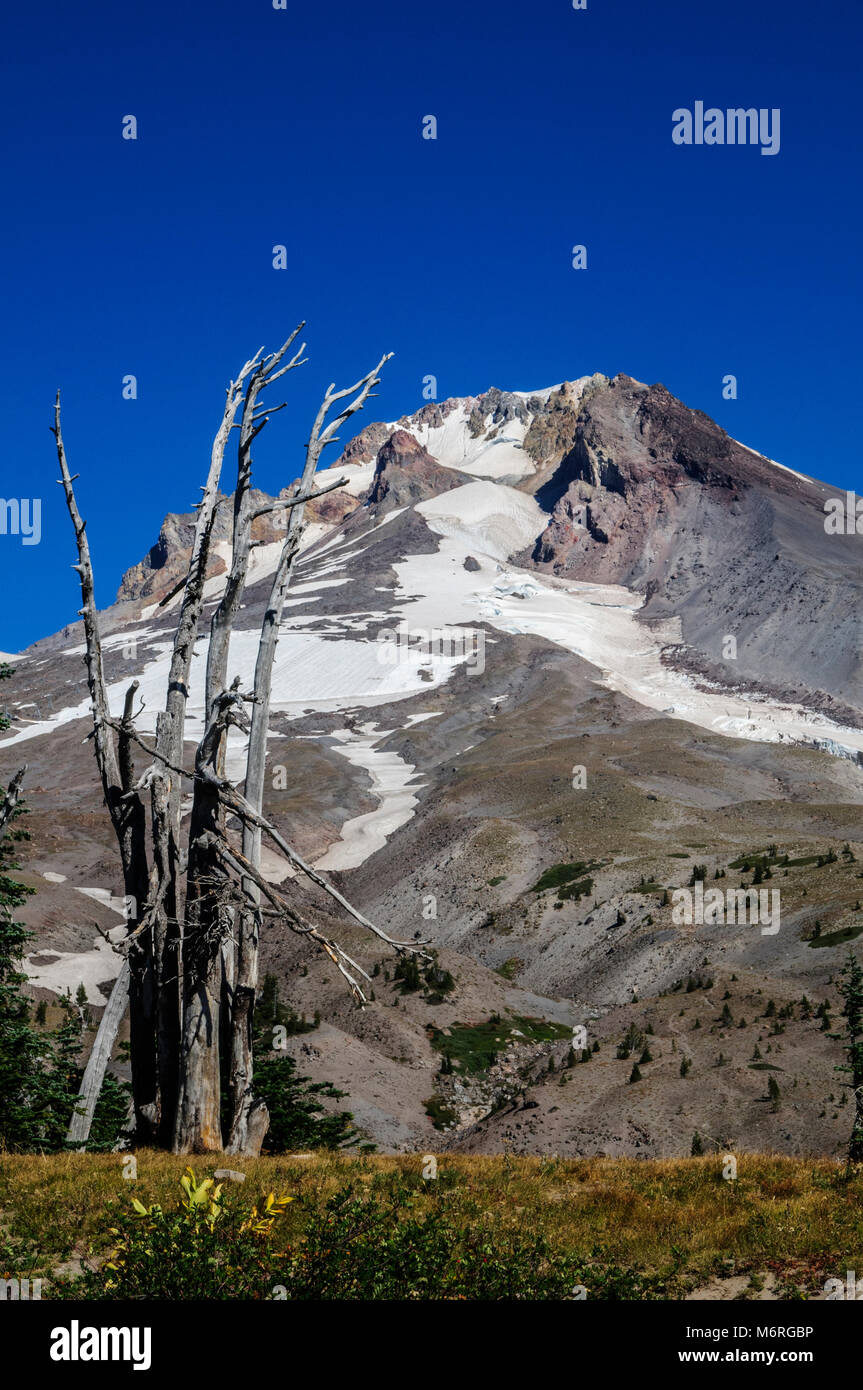 Le Mont Hood, Oregon. Mount Hood. Mount Hood National Forest. 20 miles à l'est de Portland, en Oregon, c'est la plus grande montagne de l'Oregon. Mount Hood est un Banque D'Images