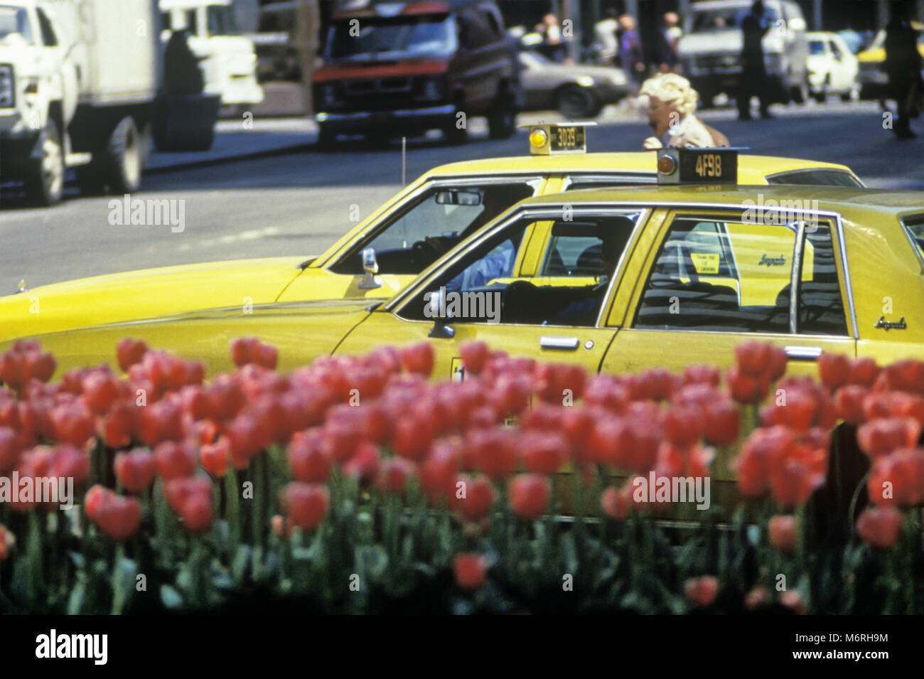 1987 CHEVROLET IMPALA HISTORIQUE Les taxis jaunes (©GENERAL MOTORS CORP  1985) PARK AVENUE MANHATTAN NEW YORK USA Photo Stock - Alamy