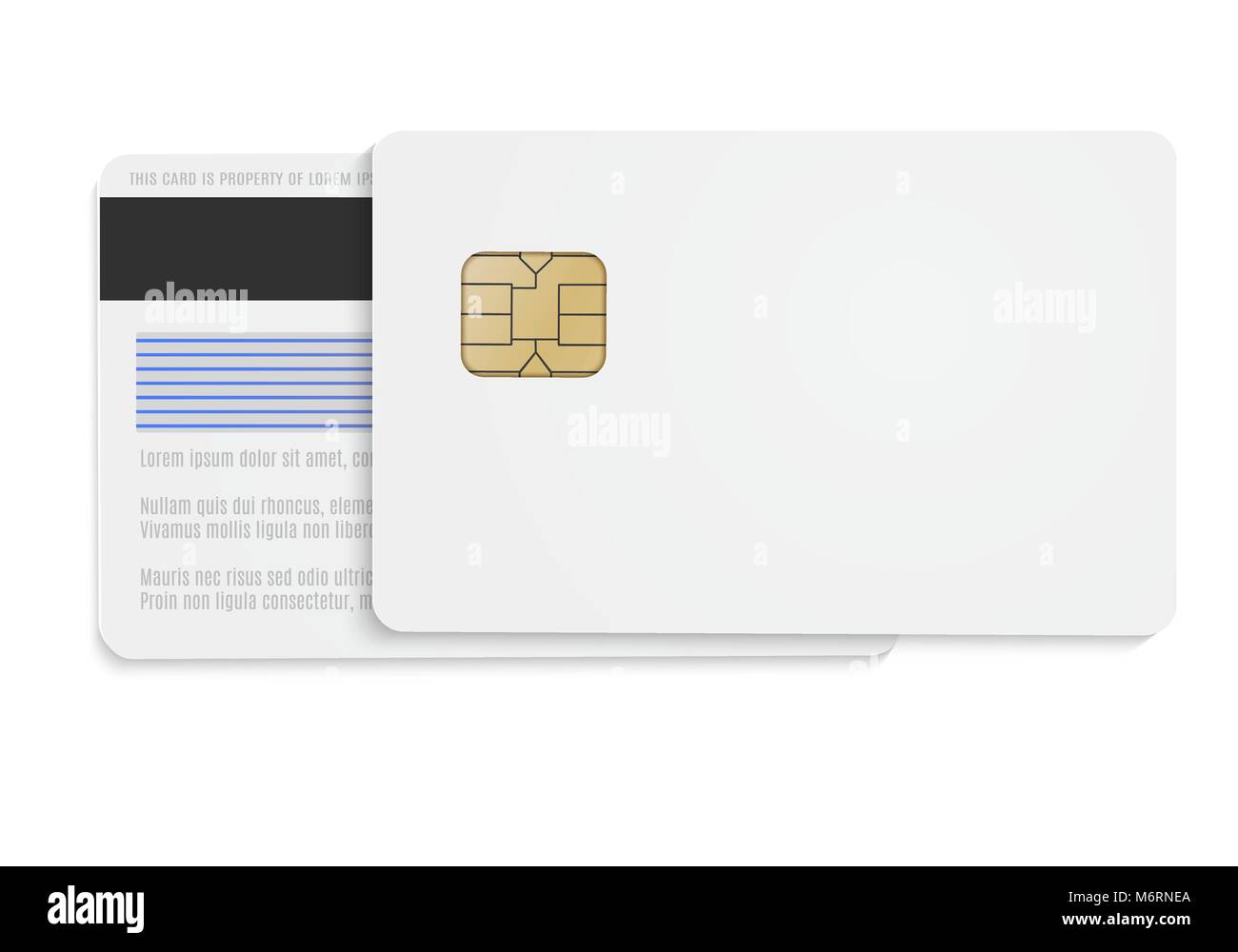Cartes IC Vierges ELAYARD - Lot De 10 - Cartes PVC Blanches à Puce Cuivre - Pour Systèmes De Contrôle D’Accès