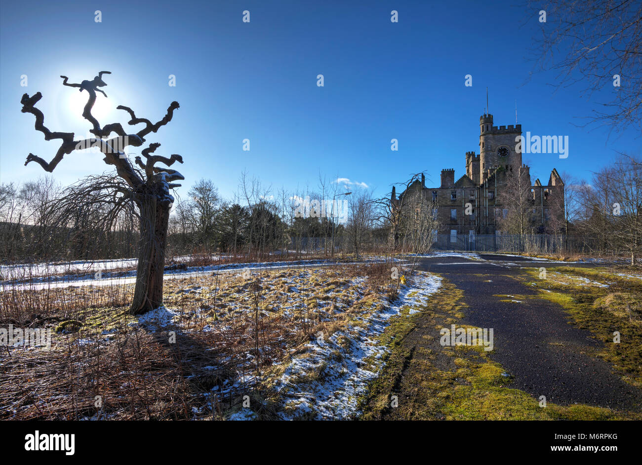 Arbre en forme inhabituelle sur le site distant dans Hatwood village de Lanarkshire avec ancien hôpital abandonné en arrière-plan. Banque D'Images