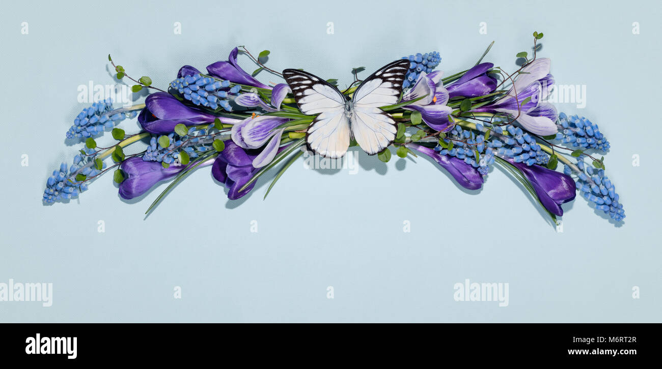Printemps fleur avec papillon sur fond bleu Banque D'Images