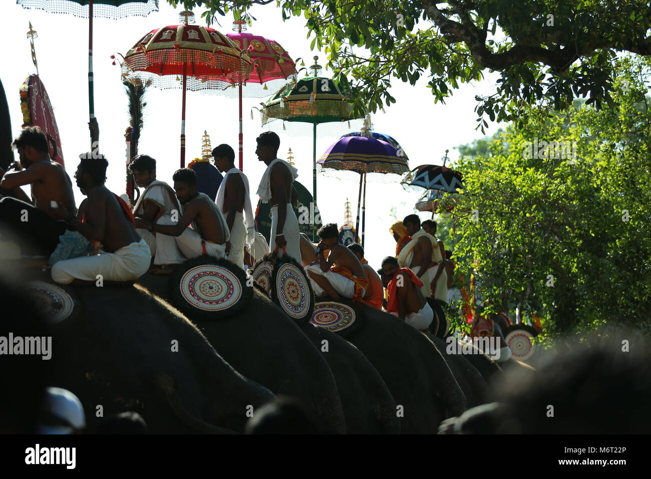Pooram thrissur, Kerala festivals Banque D'Images