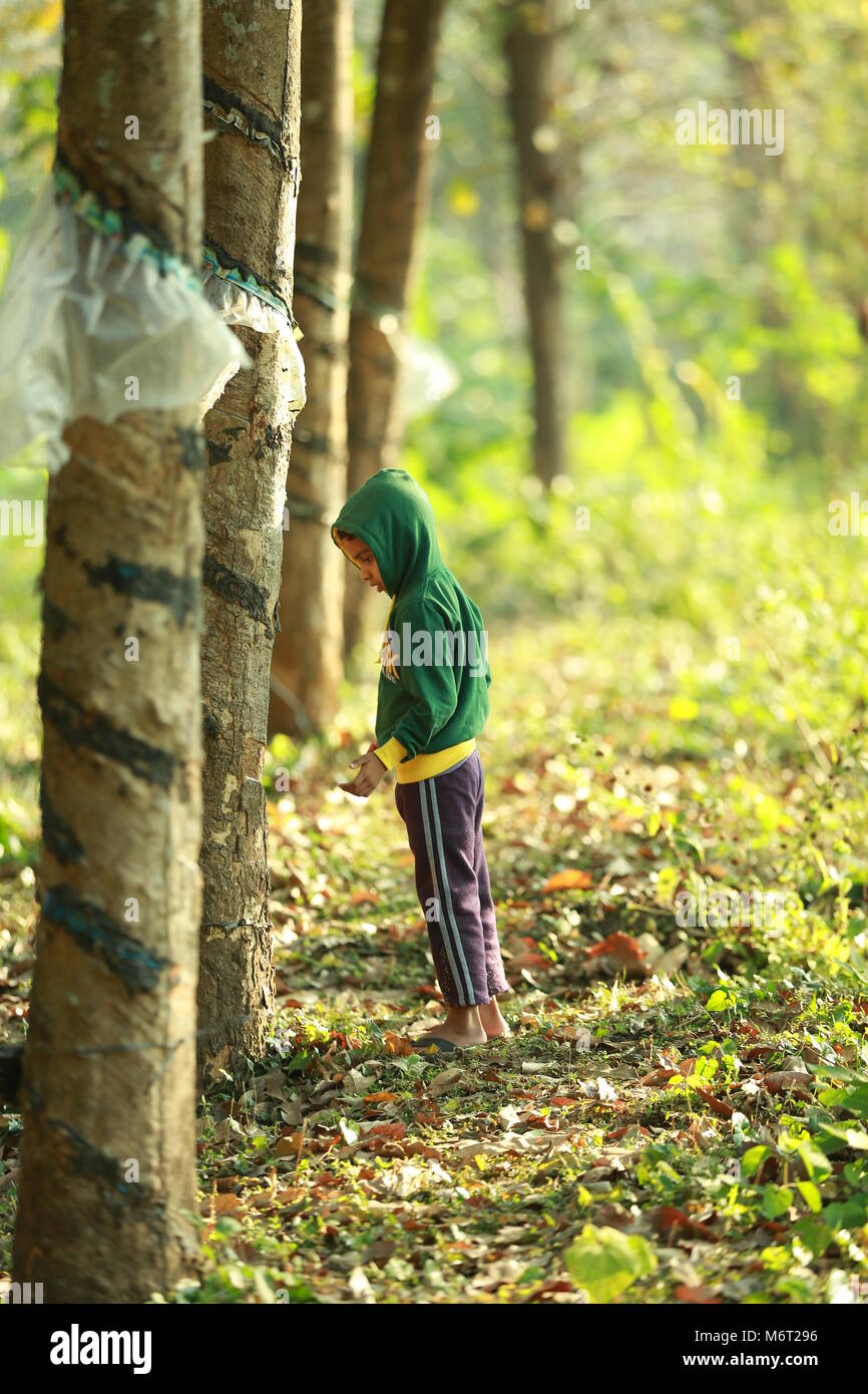 Enfance heureuse, de boue, jouer, Football, avoir du plaisir avec la nature, profiter de leur enfance, les enfants football,souvenirs, s'amusant, pour les enfants, cycle arbre avec boy, game Banque D'Images