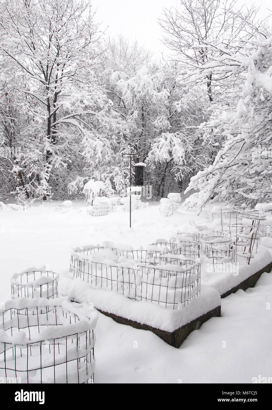 Jardin et de la forêt couverte de neige après une tempête hivernale Banque D'Images