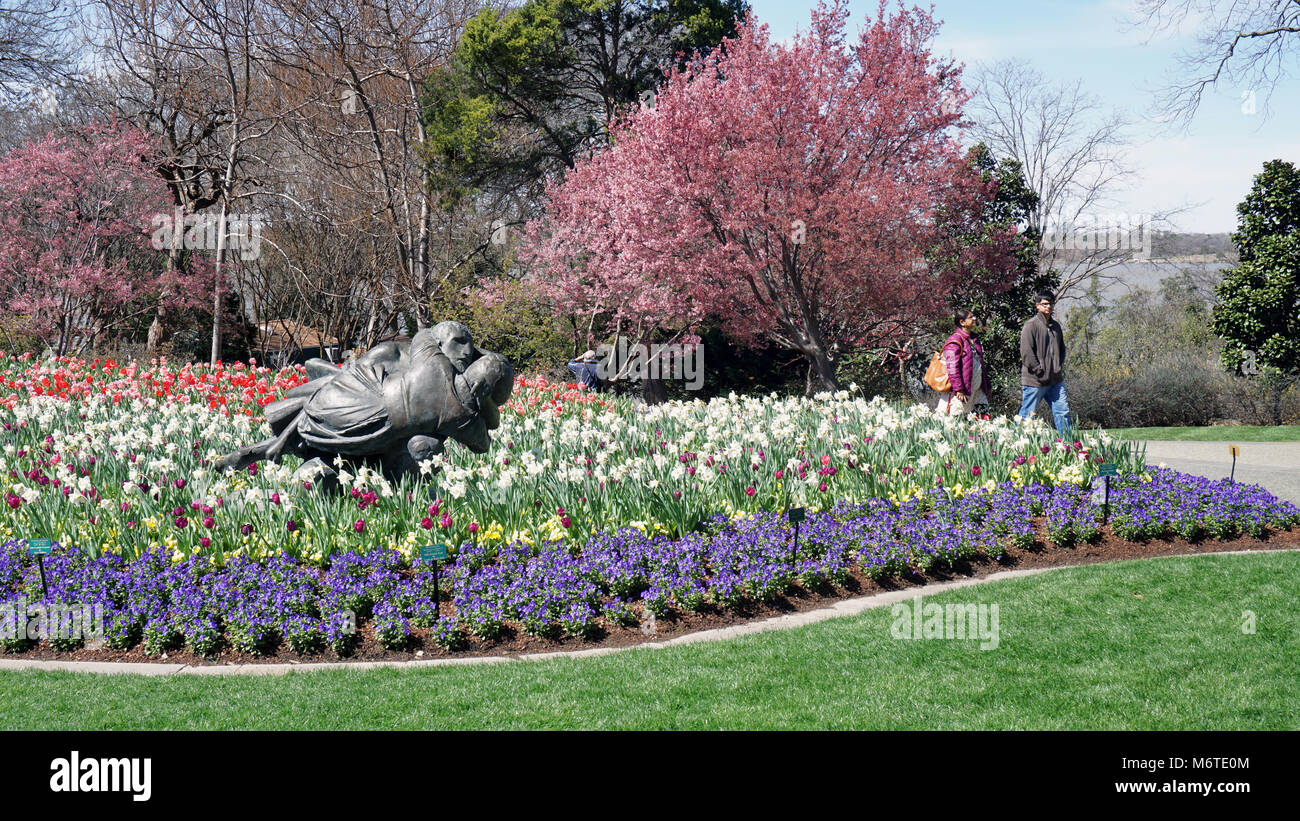 Dallas, Texas - 6 mars 2018 Dallas Arboretum and Botanical Garden, les personnes bénéficiant d'une excellente journée de printemps. Banque D'Images