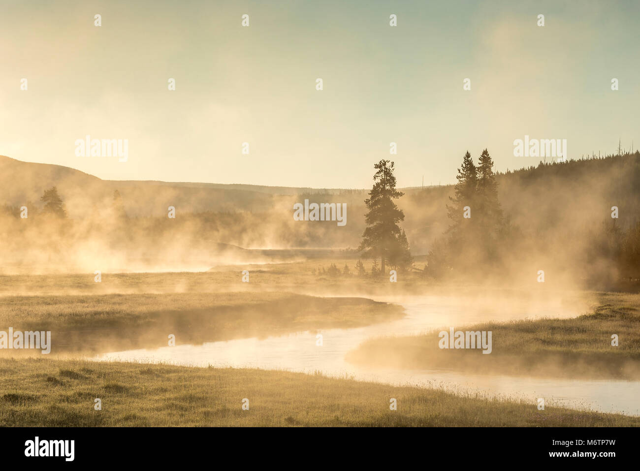 Gibbon River au lever du soleil, le Parc National de Yellowstone, Wyoming. Banque D'Images