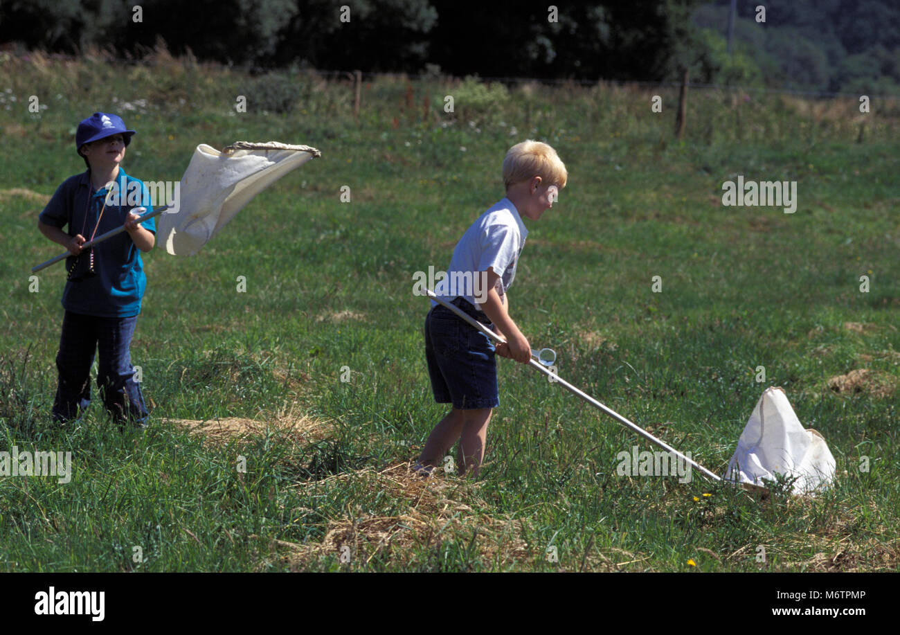Deux garçons en champ avec des filets à papillons Banque D'Images