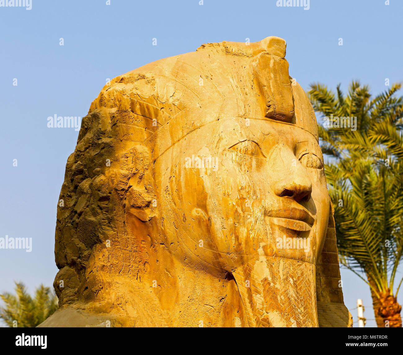 Le Sphinx de Memphis, faits d'Albâtre égyptien, Memphis, l'Égypte, l'Afrique du Nord Banque D'Images