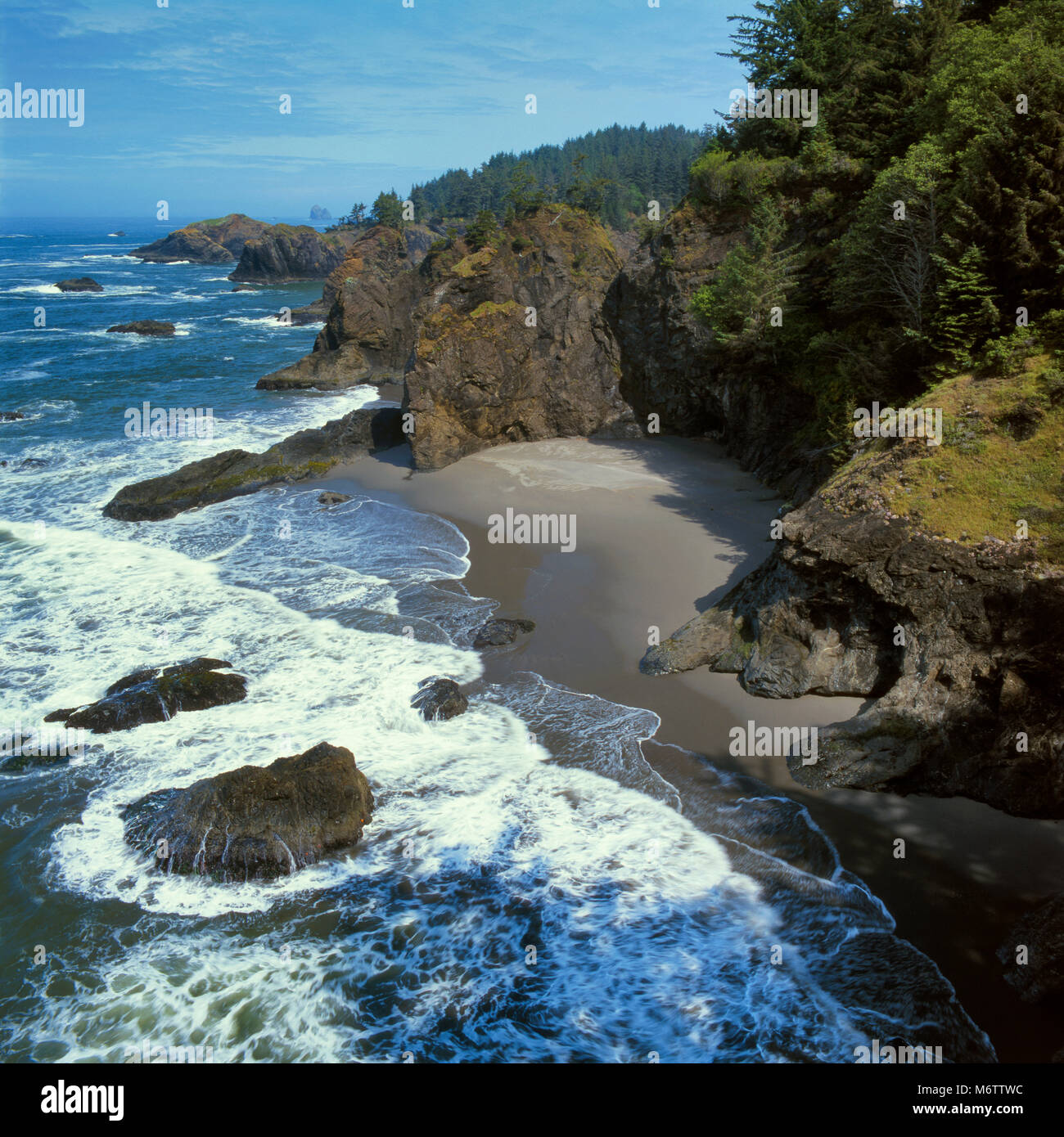 Littoral, Boardman State Park, comté de Curry, de l'Oregon Banque D'Images