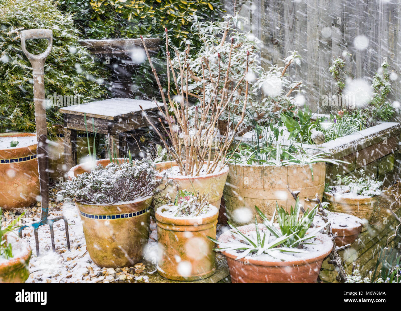 Une photo de la neige qui tombe sur une scène typique de la fin du jardin d'hiver. Banque D'Images