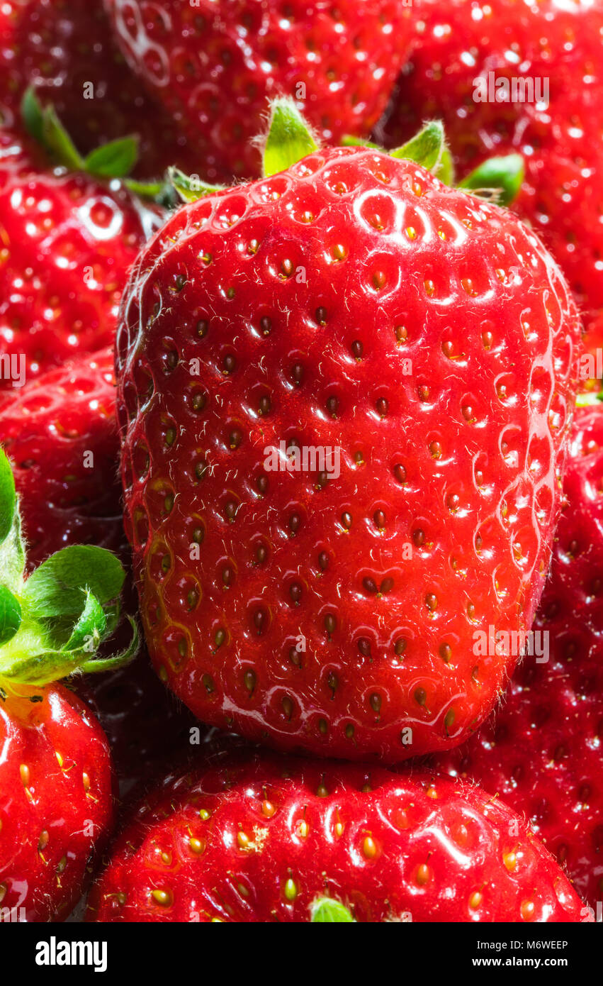 Délicieux avec des fraises fraîches rouge feuille verte, close-up Banque D'Images