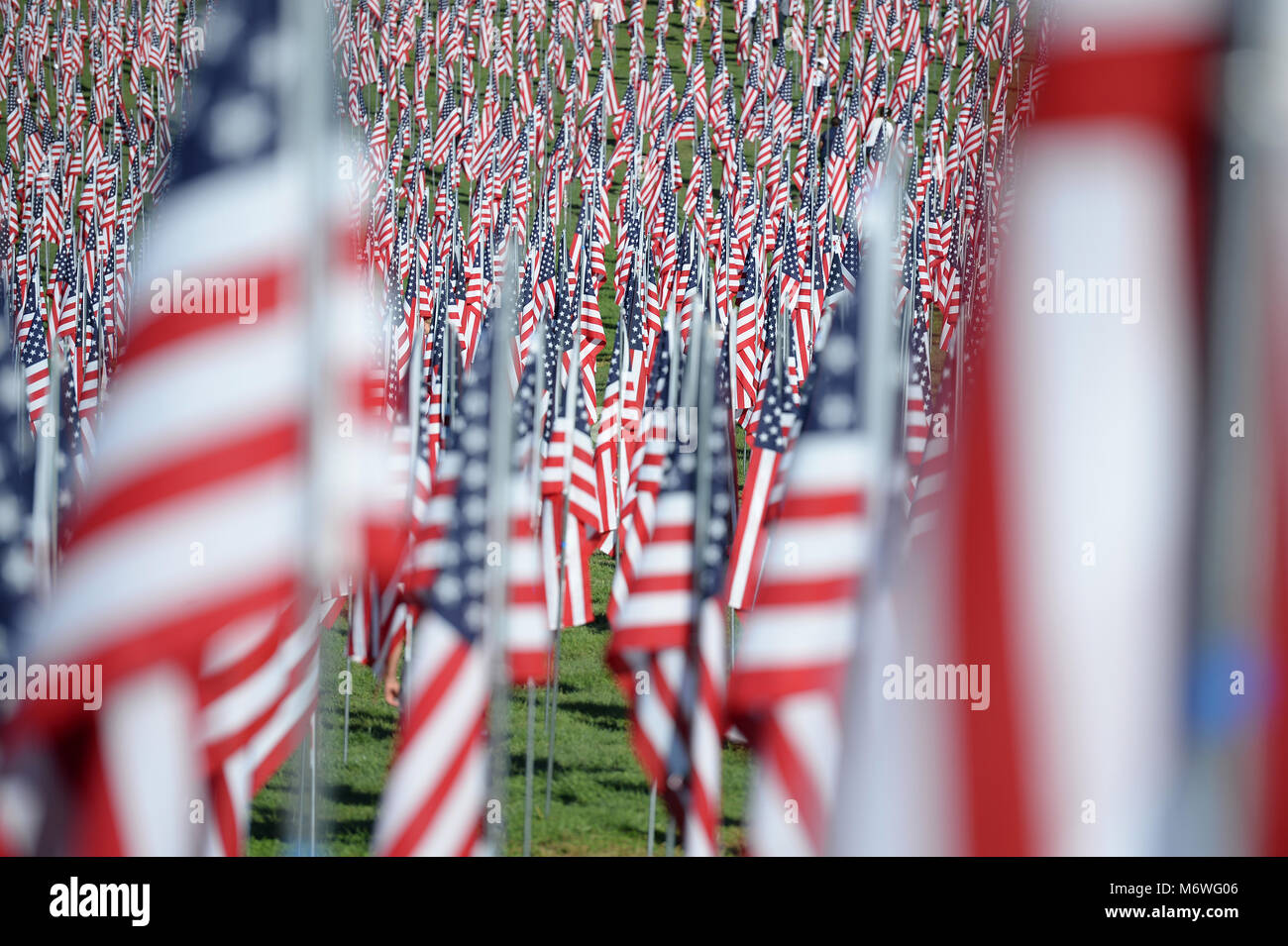 Saint Louis, MO - 11 septembre 2016 : plus de 7 000 drapeaux avec nom, photo et dog tag mort d'un militaire de la défense des États-Unis en dehors de l'onde e Banque D'Images