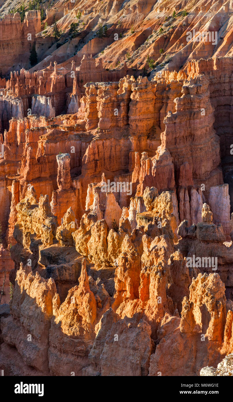 Les cheminées à Bryce Amphitheater au lever du soleil, vue de Bryce Point, Bryce Canyon National Park, Utah, USA Banque D'Images