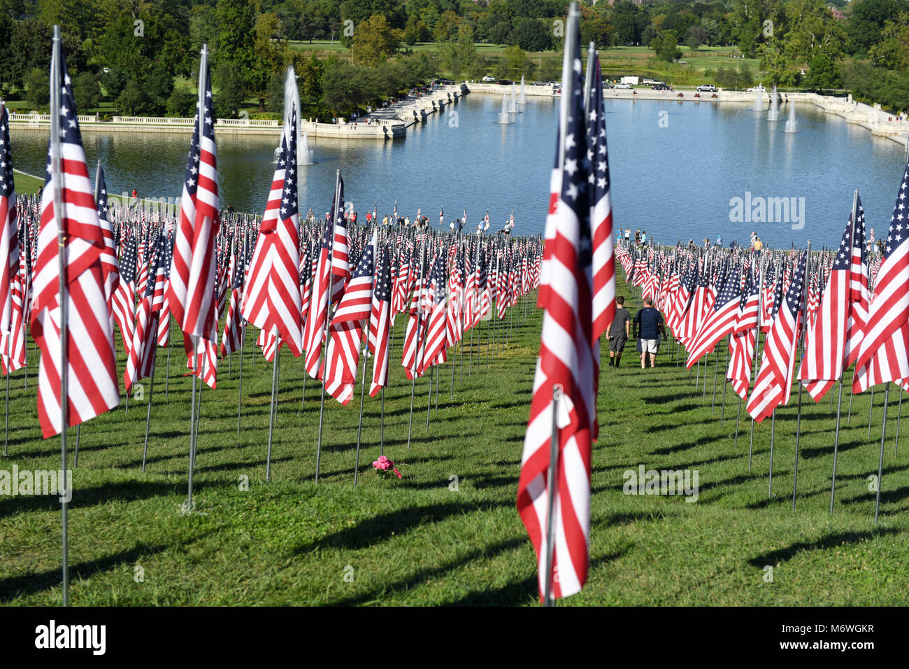 Saint Louis, MO - 11 septembre 2016 : plus de 7 000 drapeaux avec nom, photo et dog tag mort d'un militaire de la défense des États-Unis en dehors de l'onde e Banque D'Images