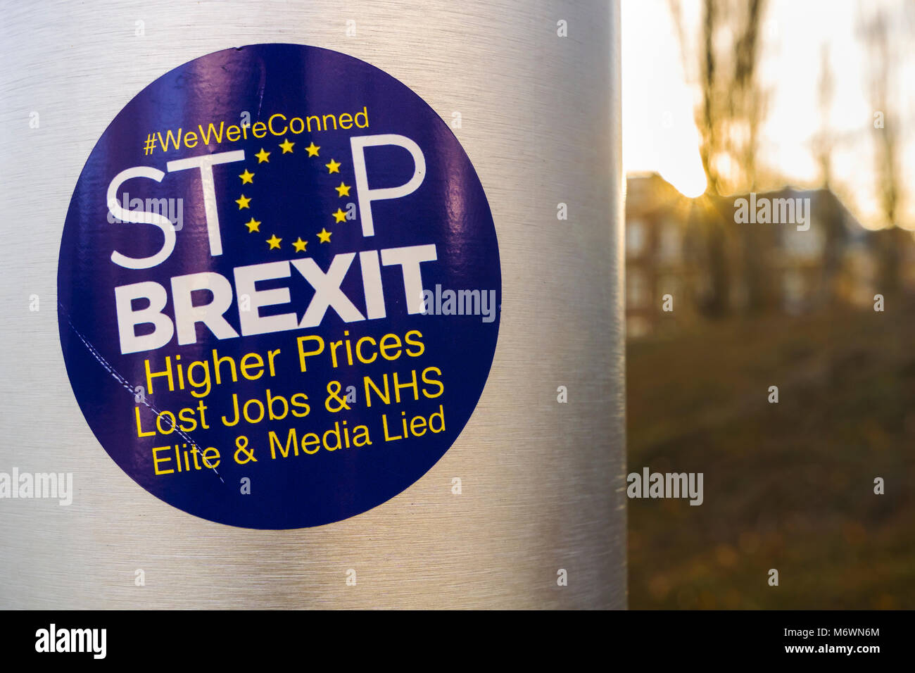 Anti-Brexit autocollant sur la hampe du Royaume-Uni au Conseil de l'Europe situé à Strasbourg, France. Banque D'Images
