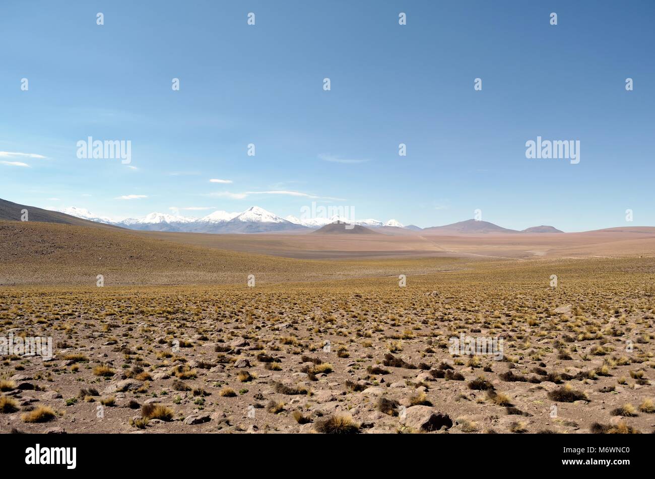 Désert d'Atacama, Chili southamerica Banque D'Images