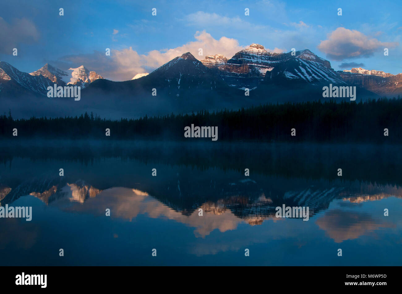 Herbert Lake à gamme Bow, Banff National Park, Alberta, Canada Banque D'Images