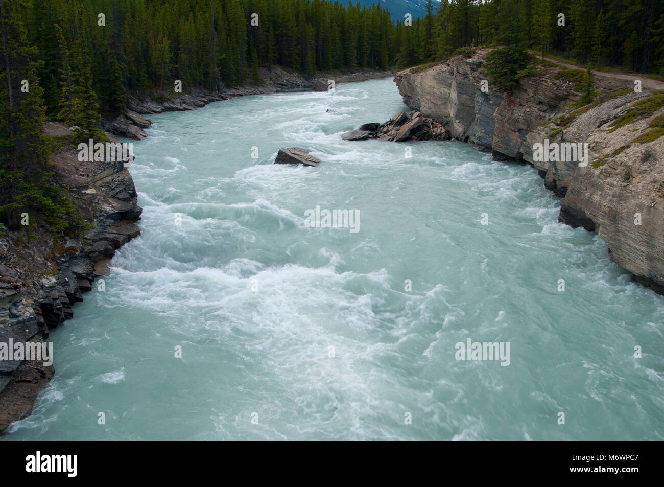 Rivière Saskatchewan Nord du sentier du lac Glacier, Banff National Park, Alberta, Canada Banque D'Images