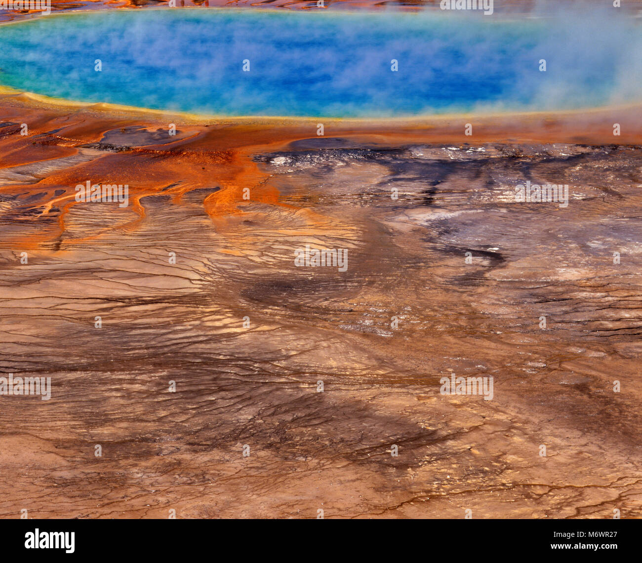 Grand Prismatic Spring, Midway Geyser Basin, Parc National de Yellowstone, Wyoming Banque D'Images