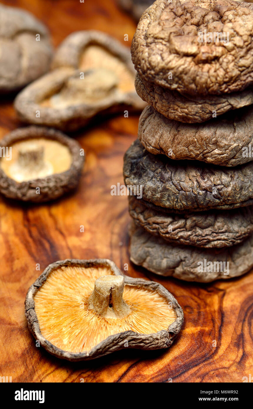 Champignons Shiitake séchés sur une planche à découper en bois d'olivier Banque D'Images