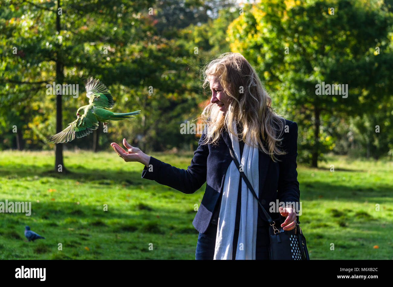 Une perruche vole de la portée d'une jeune femme dans le parc Banque D'Images