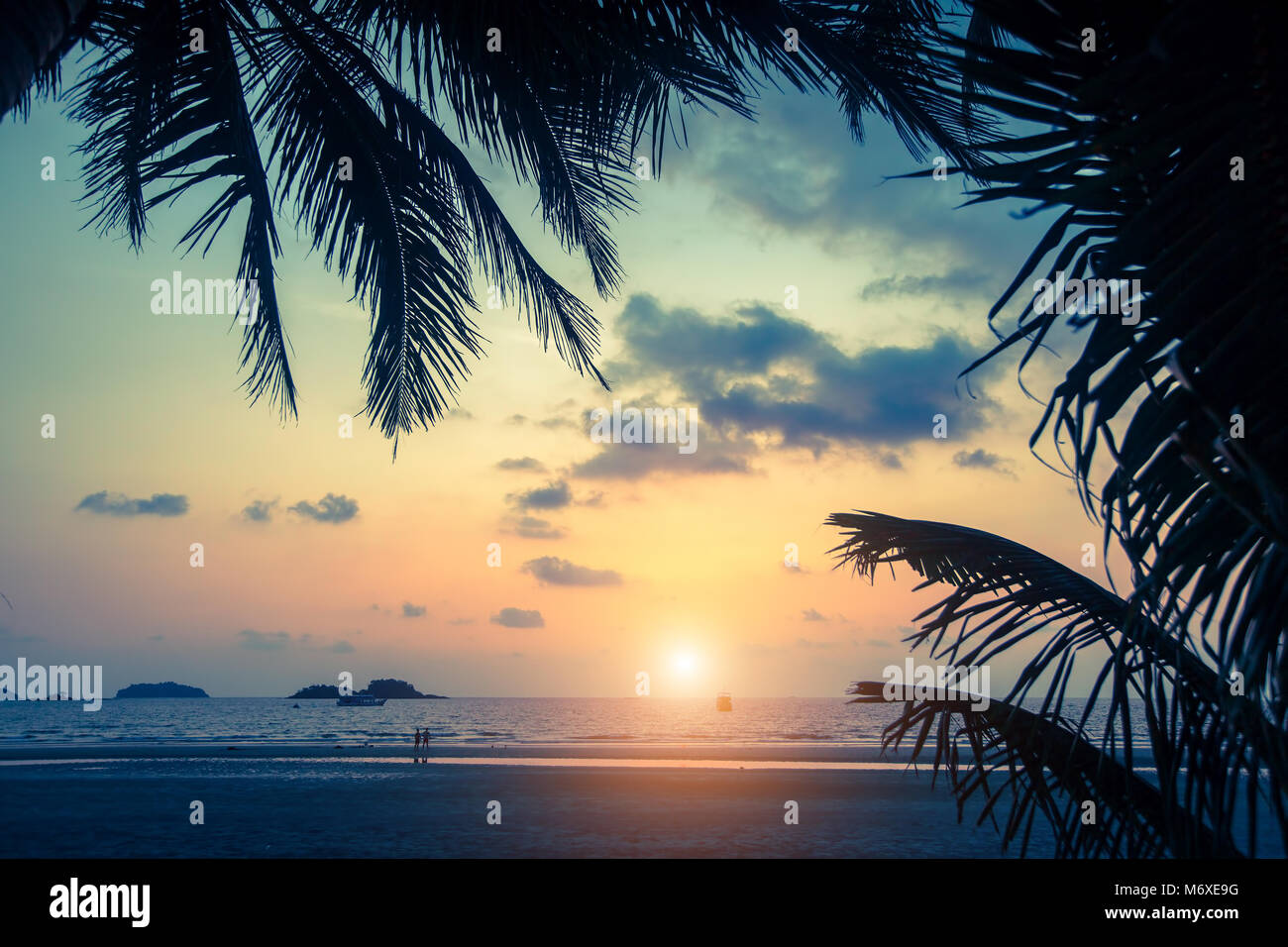 Coucher du soleil sur la plage de la mer tropicaux avec silhouette de feuilles de palmier. Banque D'Images