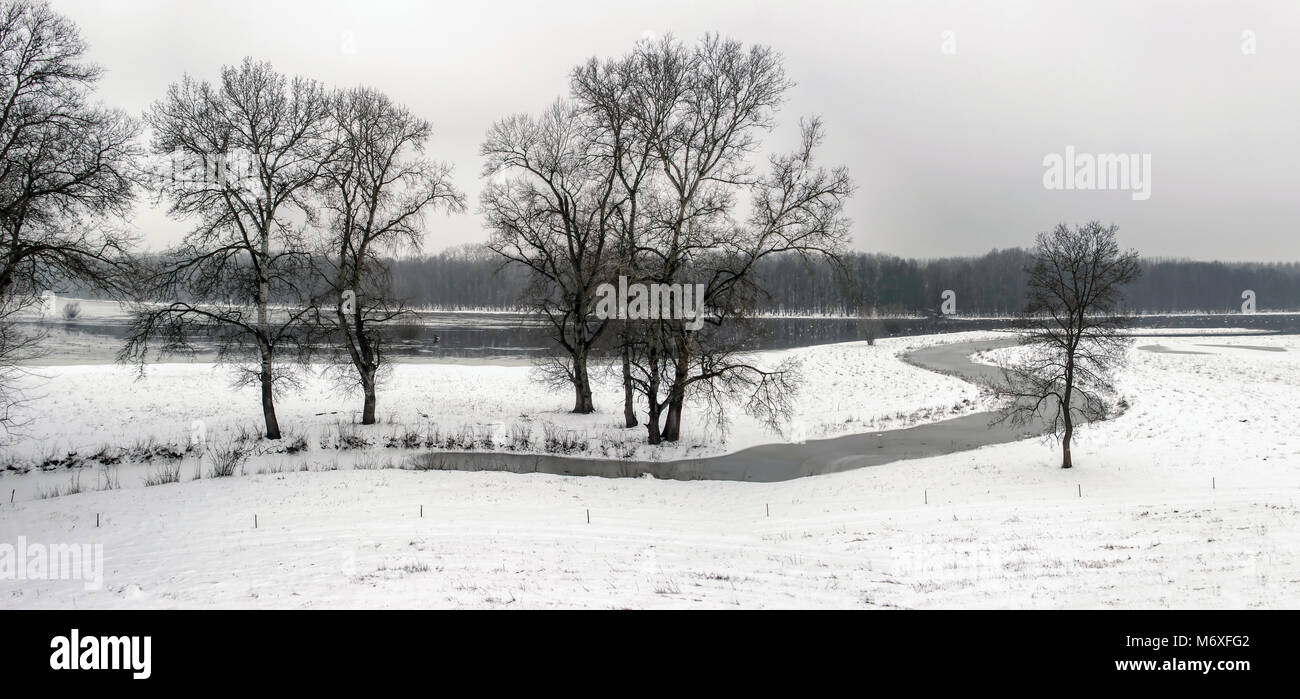 La Voïvodine, Serbie - Vue panoramique sur la neige couverts OBEDSKA Obedska Bara (marais littoral) Banque D'Images