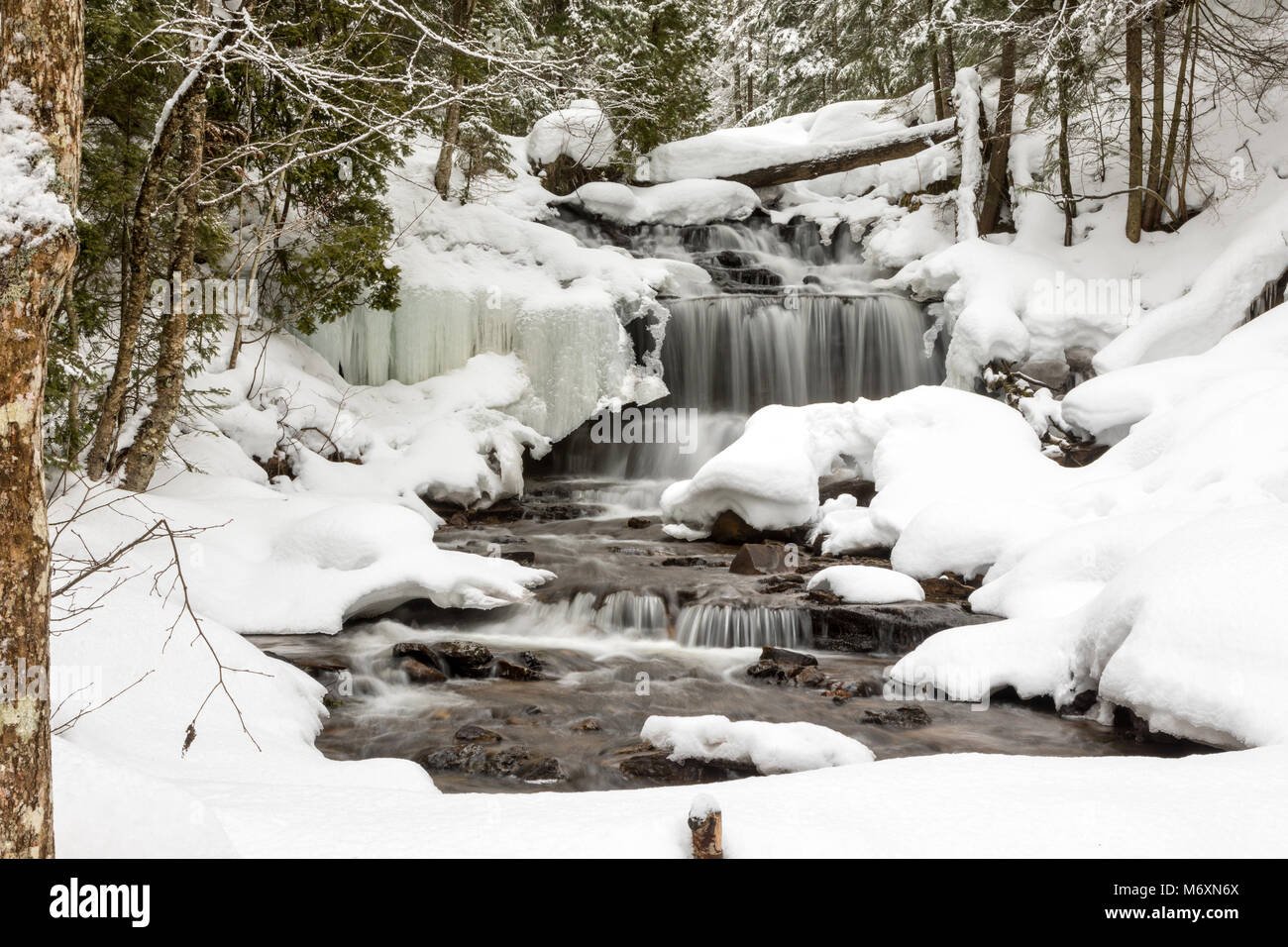 Chute d'eau en hiver. Wagner Falls à Munising Michigan, entouré de neige fraîchement tombée. Les lignes de la neige des branches d'arbre et les modèles de glace lacy. Banque D'Images