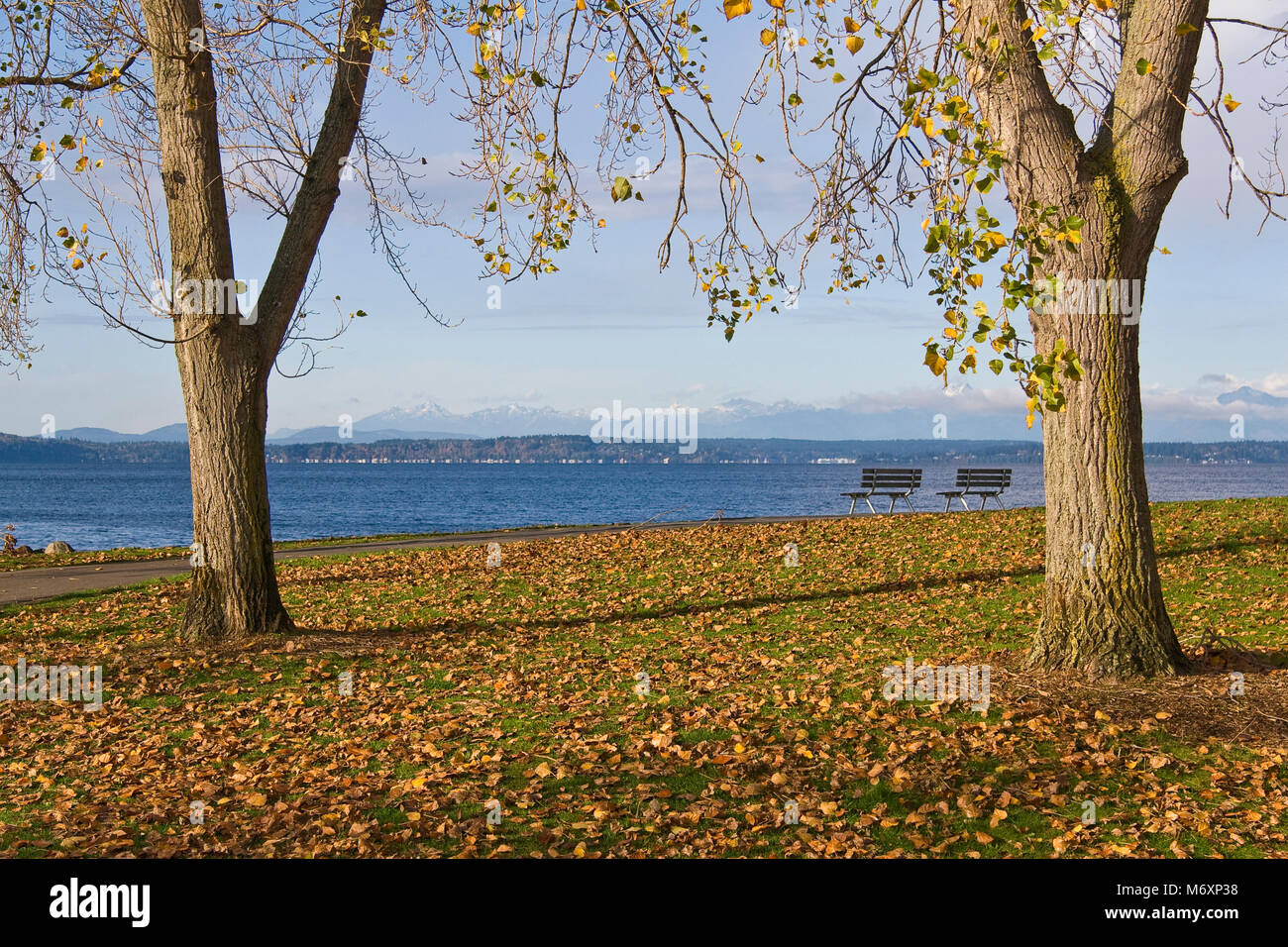 Des bancs de parc sur Elliot Bay (Puget Sound), Seattle Banque D'Images