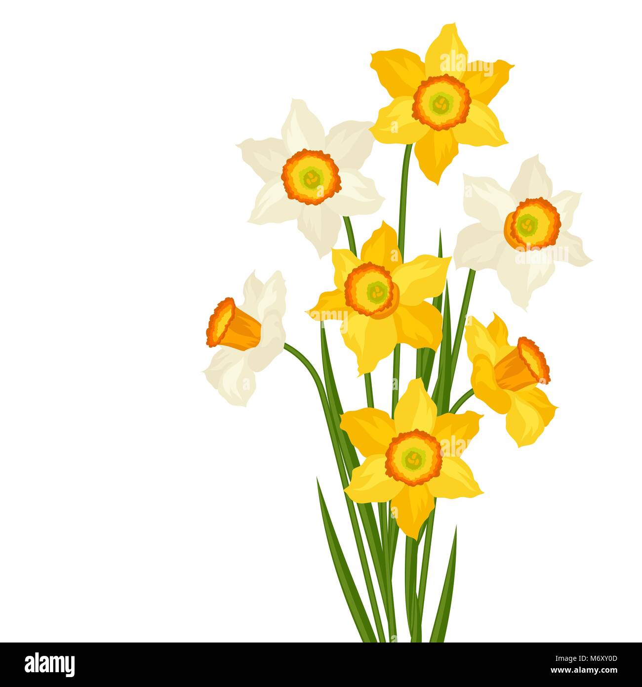 Bouquet de fleurs sur fond blanc narcisse Illustration de Vecteur