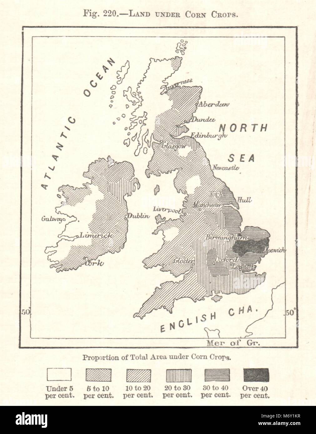 Terres en cultures de maïs. Îles britanniques. La carte graphique 1885 ancienne Banque D'Images